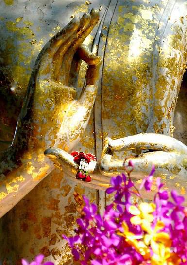 942820_470212096380935_146418026_n copy 2