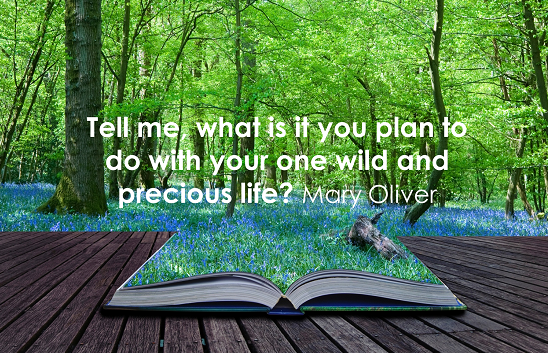 the-summer-day-mary-oliver